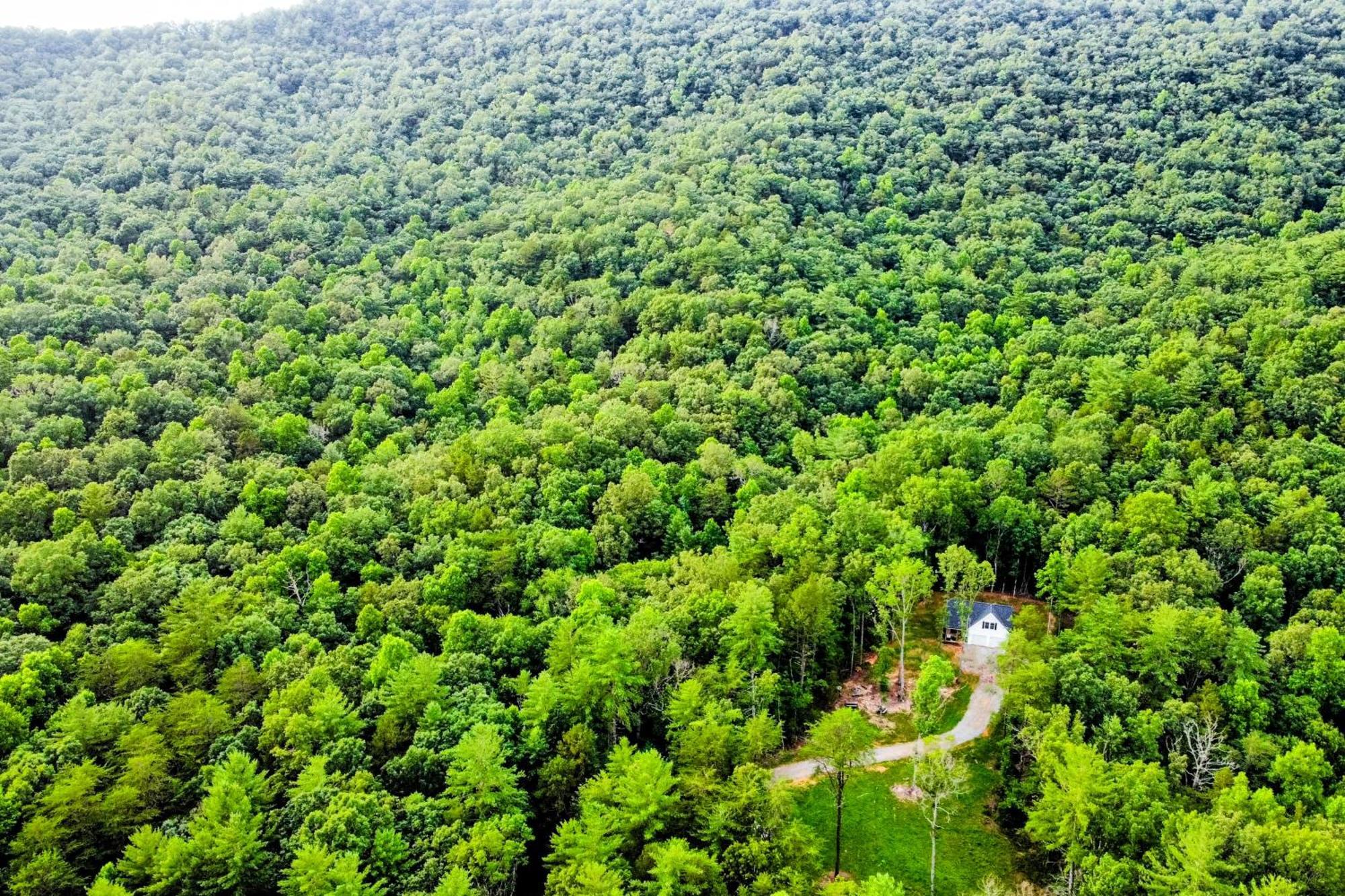 White Owl Cottage Blairsville Buitenkant foto